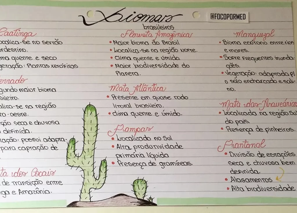 modelo de flashcard online