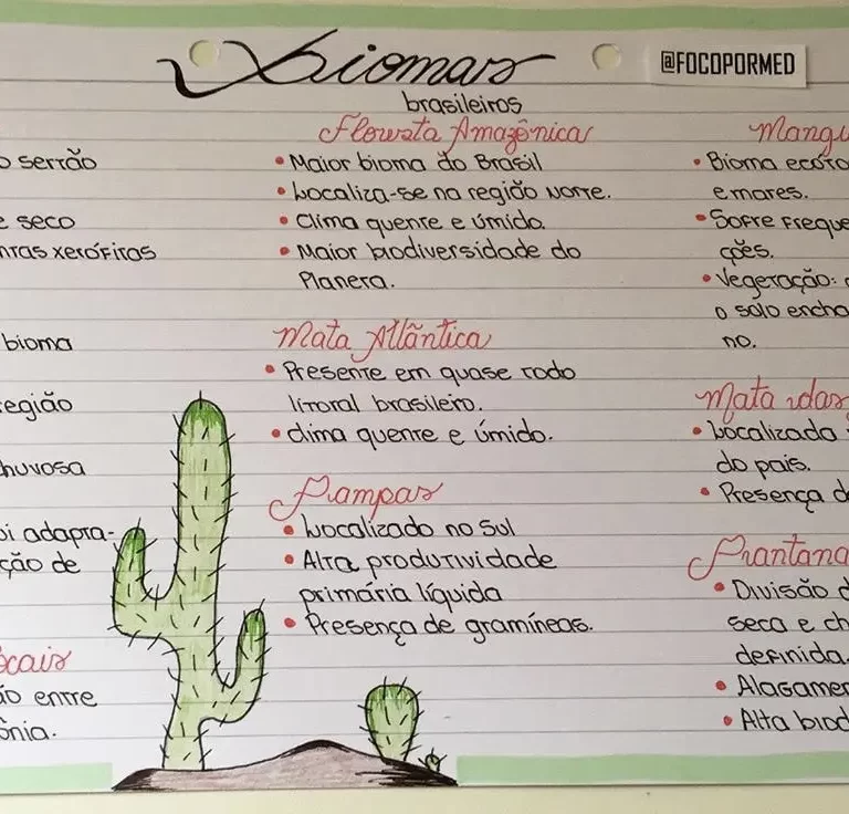 modelo de flashcard online