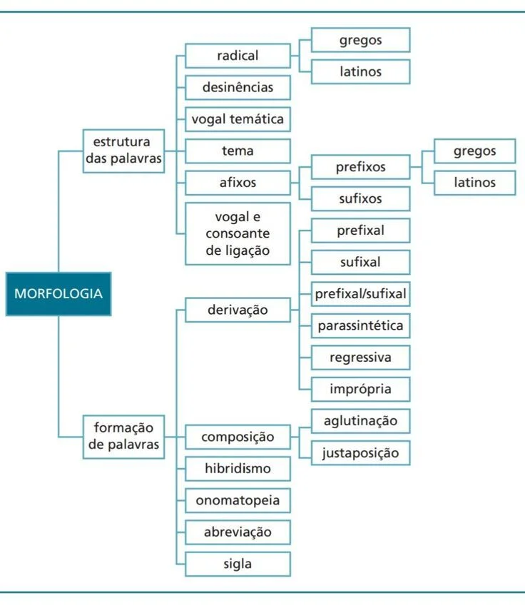 Guia Completo dos 27 Melhores Métodos de Estudos Para Você 3 diagrama sobre morfologia